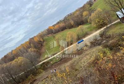 Teren intravilan Sinca Noua - 10