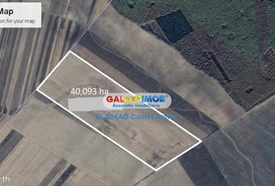 Vindem teren agricol 41 ha , Dambovita - 3