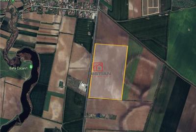 Teren intravilan Crevedia - Cocani - DN1 A, Dambovita - 7