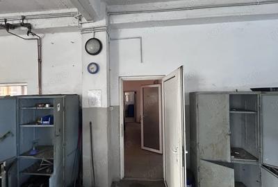 Spațiu comercial, de 960 mp, în Micălaca - 9