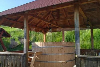 Cabana de vanzare in Stramba - 21