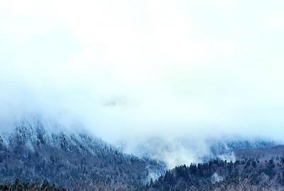 Brasov Predeal teren intravilan 5000mp - 5