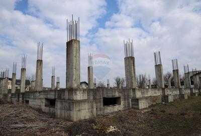 Teren Construcții intravilan de 6900 mp, în Șcheia - 11