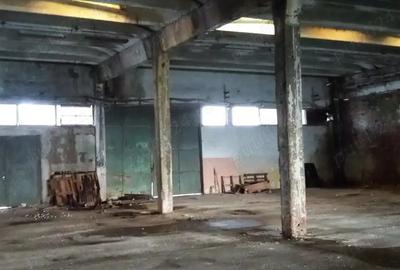 Spațiu comercial, de 6,800 mp, în Lipova