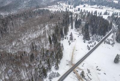 Teren Construcții intravilan de 10440 mp, în Poiana Brașov - 9