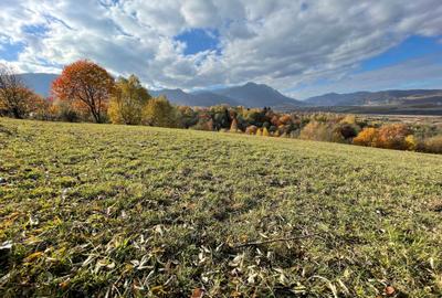 Teren intravilan loturi intre 500 si 1000 m la 14 km de Rasnov - 5