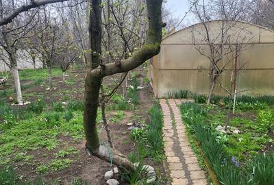 Casă individuală cu 5 camere cu Teren 886 Mp în Central - 14