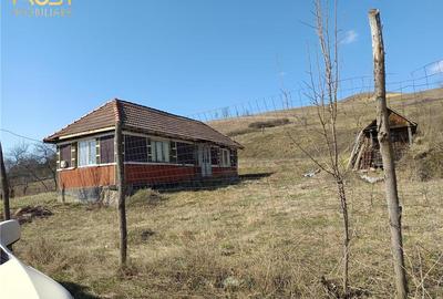 Casă cu 2 camere cu Teren 2698 Mp în Hagău - 3
