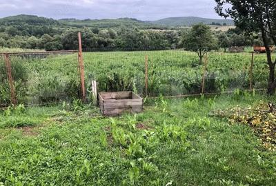 Casa cu 5 camere, curte, gradina, teren 3000 mp - Jimbor, jud Brasov Casa cu 5 camere, curte, gradina, teren 3000 mp - Jimbor, jud Brasov - 3