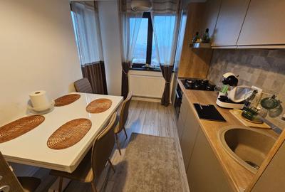 Apartament cu 2 camere decomandat, mobilat în Grozăvești - 6