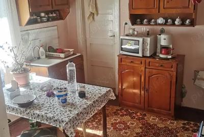 Casă cu 2 camere în Sebiș - 9