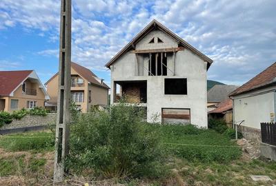 Casă cu Teren 4442 Mp în Viile Apei - 3