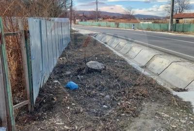 Teren de 1943 mp, în Urechești - 2