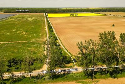 Teren Construcții intravilan de 5700 mp, în Răcari - 2