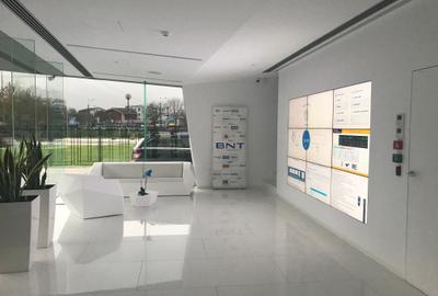 Dristor-Mihai Bravu - 2