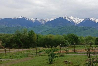 Teren de 1400 mp, în Cârțișoara - 1