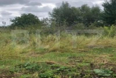 Teren de 2000 mp, în Stupini