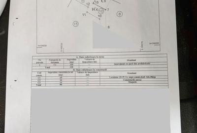 Casă cu 3 camere în Cișmigiu - 13