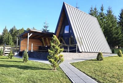 Teren 34,5 ari + cabana A-frame Colibita – ideal pentru resort, spa sau pensiune - 10