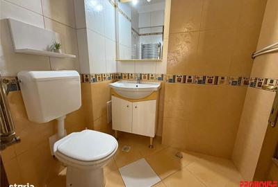 Apartament cu 3 camere, mobilat în Bistrița Lac - 10