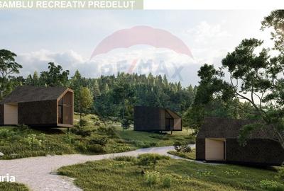 Teren de 24253 mp, în Bran - 19