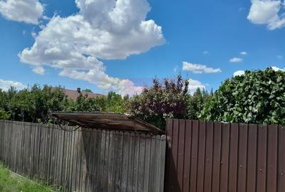 Movilita - vanzare casa 5 cam plus livada pe rod si teren 1800 mp - 16