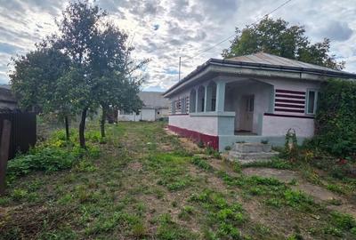 Casă cu 3 camere în Siretu