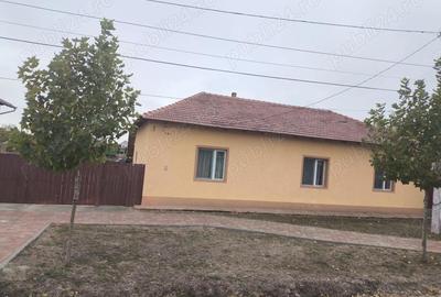 Casă cu 5 camere cu Teren 1439 Mp în Central - 11