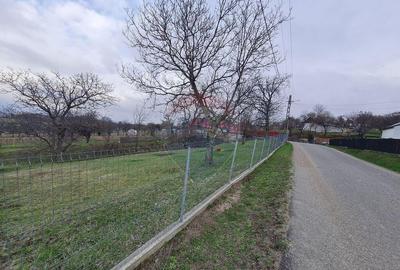 Teren intravilan la Strada Principala in Haulisca - 2