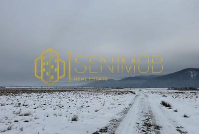 Comision 0%! Teren de vânzare pe Glajerie - Rasnov - 3