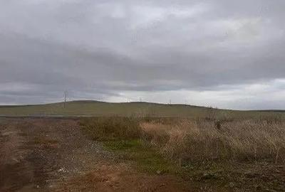 Teren extravilan cota parte 3/24, Nalbant ; ID: R2827364 - 7