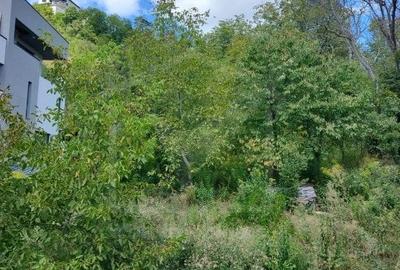 Grigorescu, casa 8 camere, 8 bai, 2 bucatarii, 1123mp curte - 21