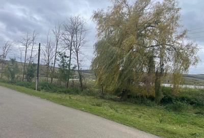 Spațiu comercial, în Mărtinești - 5