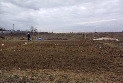 Teren de 5000 mp, în Corbii Mari - 2