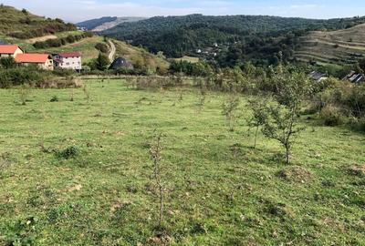 Teren Construcții intravilan de 5100 mp, în Tăuți - 3