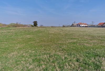 Spațiu comercial, în Blajova - 1