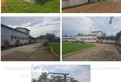 Spațiu comercial, de 1,419 mp, în Mișca - 5