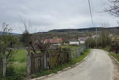 Spațiu comercial, în Bujoreni
