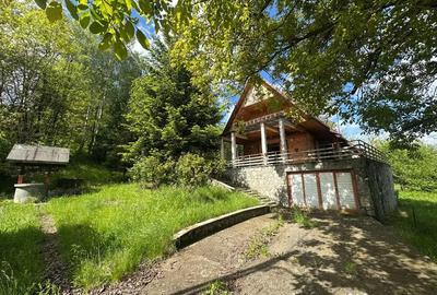 Casă cu 4 camere cu Teren 1916 Mp în Homorâciu - 4