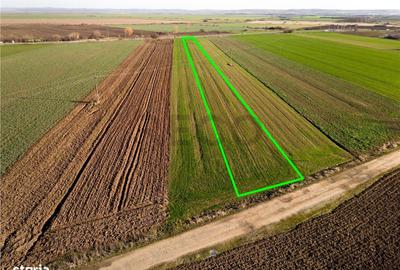 Spațiu comercial, în Tămășeu