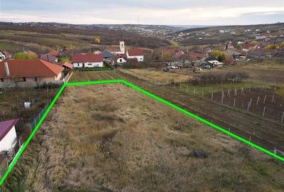 RECO . Teren intravilan Saldabagiu de munte . - 1