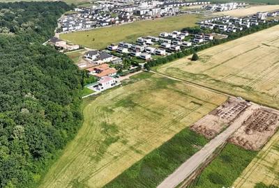 Teren de 9400 mp, în Tunari - 5