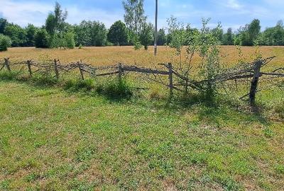 Bughea de Jos-Imparatia Mlacilor, teren de vanzare, 3000 mp, 27 ml deschidere - 4