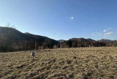 Teren în Firiza - 1