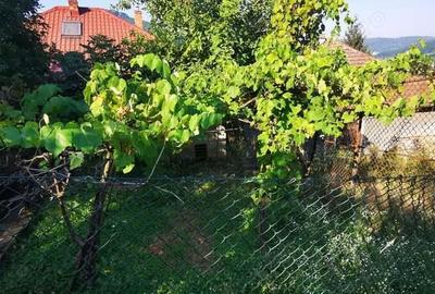 Casa 4 camere Muncitoresc redusa cu 30 mii din pre? ini?ial negociabil - 14