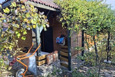 Casă cu 4 camere cu Teren 7017 Mp în Făget - 12