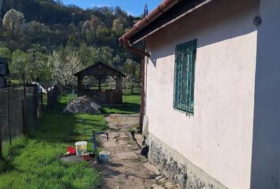 Casă cu Teren 450 Mp în Central - 1