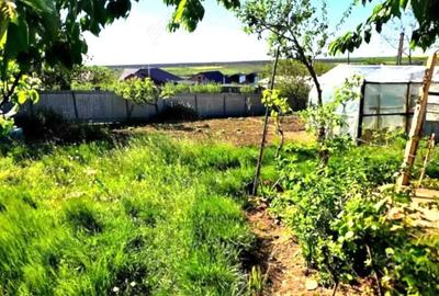 Casa cu gradina mare ?i vie, Odaia Manolache toate utilita?ile! - 2