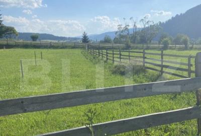 Vanzare teren 385 mp, Dorna Arini - 2