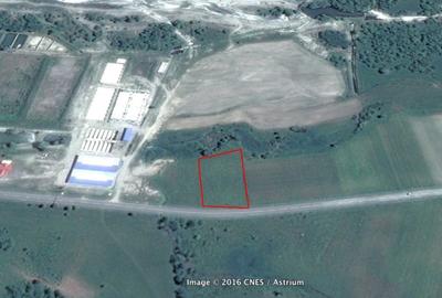 Teren agricol extravilan de 510 mp, în Cârțișoara